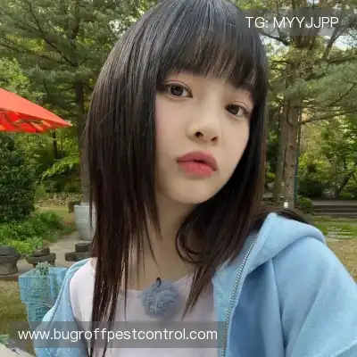 费盈寒
